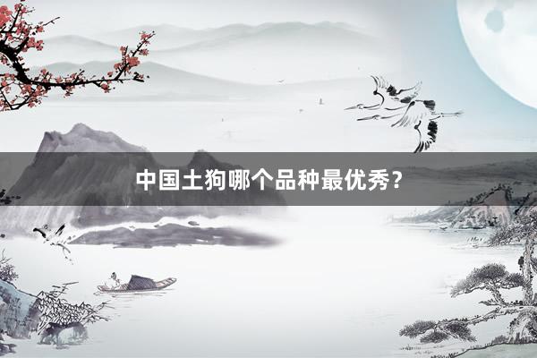 中国土狗哪个品种最优秀？